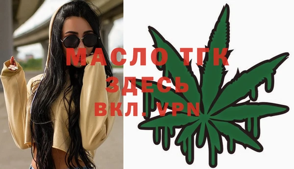стаф Козловка