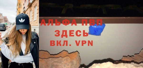 стаф Козловка