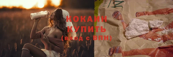 стаф Козловка