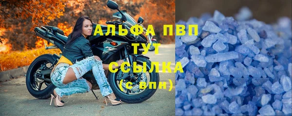стаф Козловка