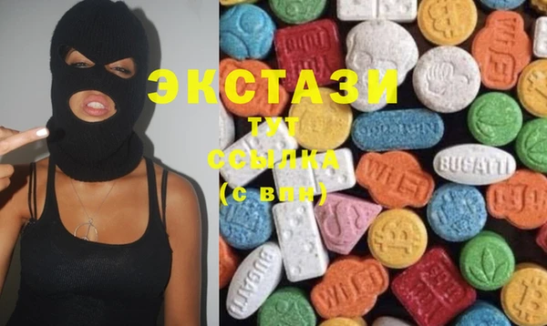стаф Козловка