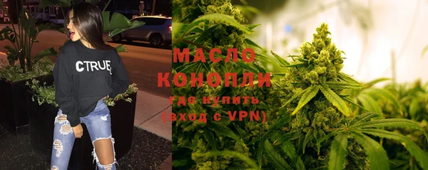 стаф Козловка