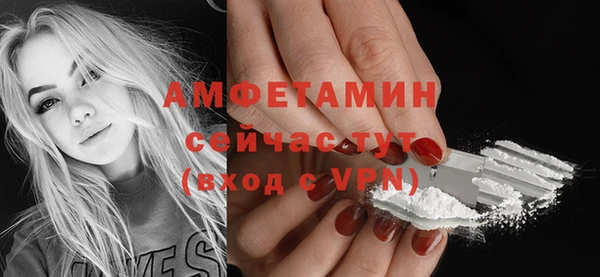 стаф Козловка