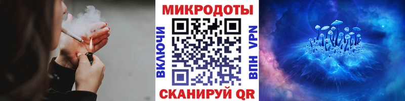 Купить  Нижняя Тура  Галлюциногенные грибы Cubensis 
