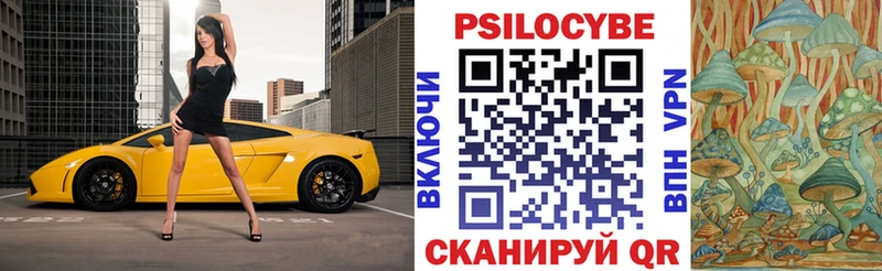 Псилоцибиновые грибы Psilocybe Нижняя Тура